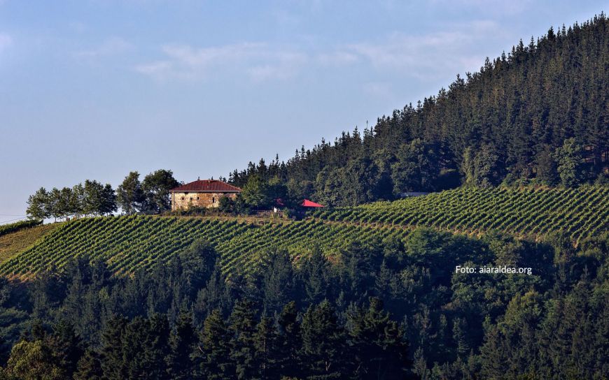 Ruta del Txakoli Getaria Zarautz